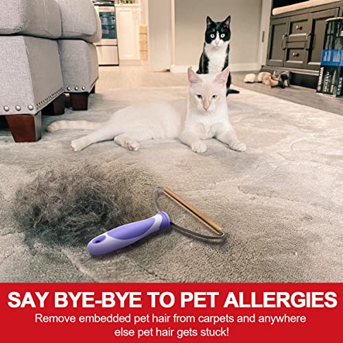 Pet Hair Remover, Dog Cat Hair Remover, Lint Cleaner Pro, Fur Removal Tool, Portable Carpet Scraper, Fuzz Rollers Hairball Shaver for Carpets, Car Mat, Couch, Pet Bed, Furniture & Rug (Purple, 2-Pack) - color: Purple - Pack of 2