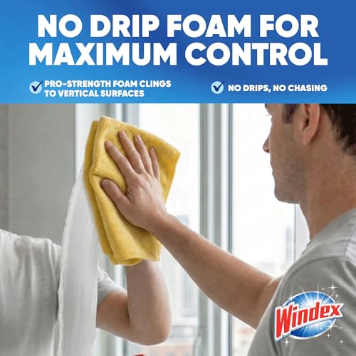 Windex Fast Shine Foam Glass Cleaner, No-Drip Windows, Doors, Mirrors & Countertops Aerosol Cleaning Spray, Streak-Free Shine, Removes Fingerprints, Dust, Dirt, Grime & More 19 oz (Pack of 6) - size: 19 Fl Oz (Pack of 6)