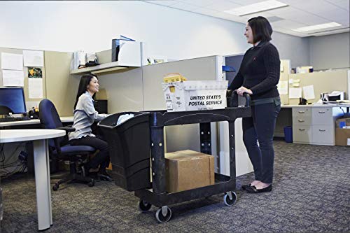 Rubbermaid Commercial Products 2-Shelf Utility/Service Cart, Small, Lipped Shelves, Ergonomic Handle, 500 lbs. Capacity, for Warehouse/Garage/Cleaning/Manufacturing - color: Black, size: Small, style: 2-Shelf