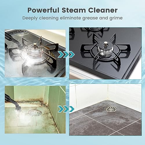 Goplus Handheld Steam Cleaner, 1400W Pressurized Steam Cleaner w/Continuous Steam w/Unlimited Use Time, 13.5 OZ Water Tank, Child Lock & 14-Piece Accessory Kit, Portable Chemical-Free Steamer Mop - color: Blue