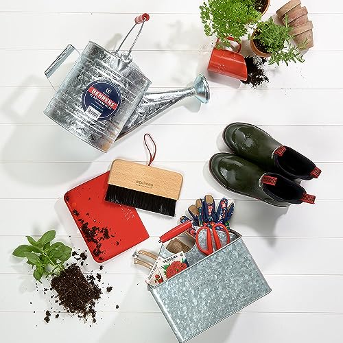 Rectangular Patitioned Cleaning Cadding – Galvanized with red Handle