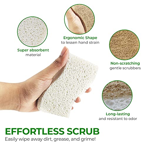 AIRNEX Natural Kitchen Sponges (6 Pack) - Biodegradable Cellulose & Coconut Scrubber Dish Sponges for Kitchen - Eco-Friendly, Non Scratch, Compostable, Non Toxic S-Shaped Natural Sponges for Dishes - size: 6 Pack