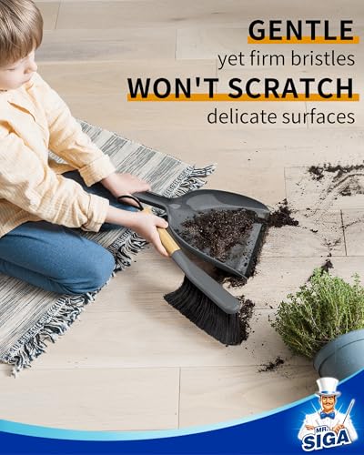 MR.SIGA Dustpan and Brush Set, Portable Cleaning Brush and Dustpan Combo with Bamboo Handle, Gray, 1 Set - color: Gray