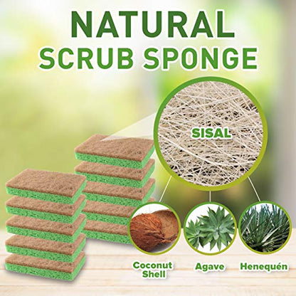SCRUBIT 48 Pack Natural Sponges - Biodegradable Compostable Cellulose and Coconut Natural Sponges for Dishes, Eco Friendly Non Toxic Kitchen Sponge - size: 24 Count (Pack of 2)