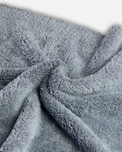 Adam's Borderless Grey Microfiber Towel (2pk) - Premium Ultra Soft Car Detailng Towel Cloths, 480gsm - Safe for Car Wash, Home Cleaning & Pet Drying Cloths (16 Inch x 16 Inch) - size: Pack of 2