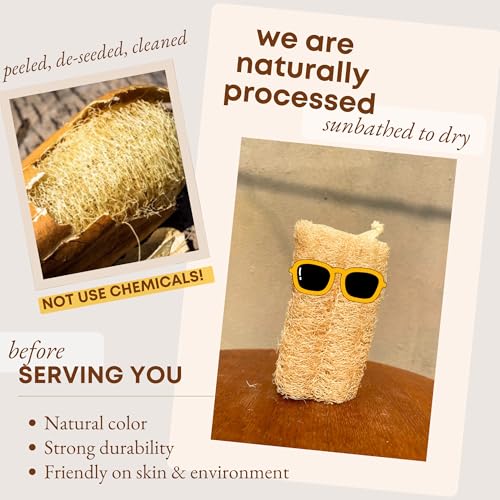Natural Loofah Sponge (Pack 4) - Exfoliating Body for Bath or Dish Scrubber for Kitchen - 100% Biodegradable Compostable Zero Waste Dishwashing Scouring Pad - size: Pack 4