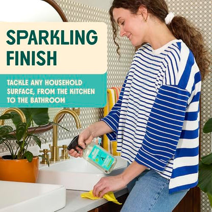 Aunt Fannie's All Purpose Household Cleaner, Multi-surface Spray, Powered by Vinegar for Kitchen, Bath, Windows and Countertops, Lavender Scent (Pack of 1) - size: 16.9 Fl Oz (Pack of 1)