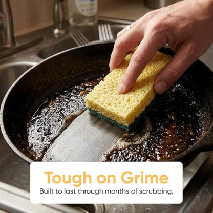 Scrubee Heavy Duty Scrub Sponge with Scouring Pad, Kitchen Dishwashing, Sink, Pot and Frying Pan Cellulose Scrubber Sponge Non Scratch. By Superio… (4.5" 12 Pack) - color: Green, size: 12-pack