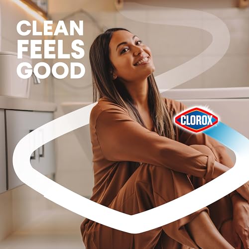 Clorox Toilet Bowl Cleaner Heavy-Duty Gel, Arctic Clean, Bleach-Free Stain Remover, Kills 99.9% of Germs, 24 oz, Pack of 2