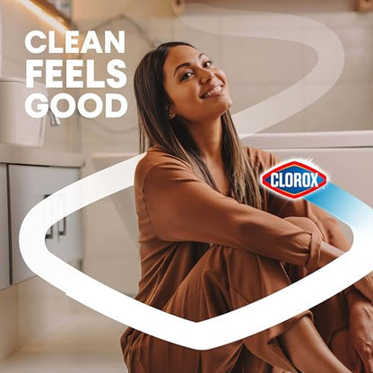 Clorox Toilet Bowl Cleaner Heavy-Duty Gel, Arctic Clean, Bleach-Free Stain Remover, Kills 99.9% of Germs, 24 oz, Pack of 2