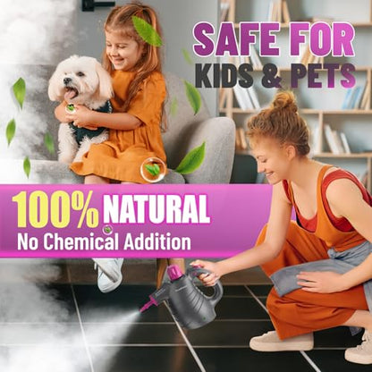 Pressurized Handheld Steam Cleaner with 10pcs Accessories&Safety Lock, Multi-Purpose Natural Deep Cleaning Steamer, Multi-Surface Steamer for Cleaning Home, Car, Upholstery, Grout and More