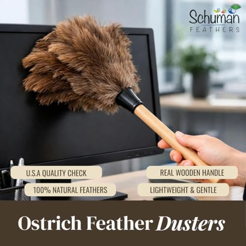 Ostrich Feather Duster with Wooden Handle 14" – Natural Reusable Feather Duster for Cleaning, Furniture & Shelves, Blinds, Ceiling Fan, Dusting Tool for Home, Office, Delicate Surfaces - 2 Pack - size: 2 Pack