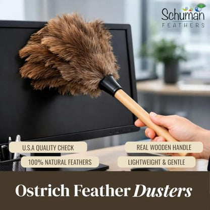 Ostrich Feather Duster with Wooden Handle 14" – Natural Reusable Feather Duster for Cleaning, Furniture & Shelves, Blinds, Ceiling Fan, Dusting Tool for Home, Office, Delicate Surfaces - 2 Pack - size: 2 Pack