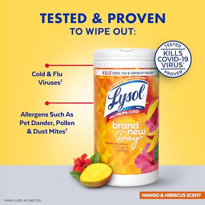 LYSOL Disinfecting Wipes, All Purpose Cleaner, Multi-Surface Antibacterial Cleaning Wipes, Household Cleaning Supplies, Dorm Essentials, Lavender + Mango Scents, 80 ct. (4 Pack) - size: 320 Count (Pack of 1), style: Mango + Lavender