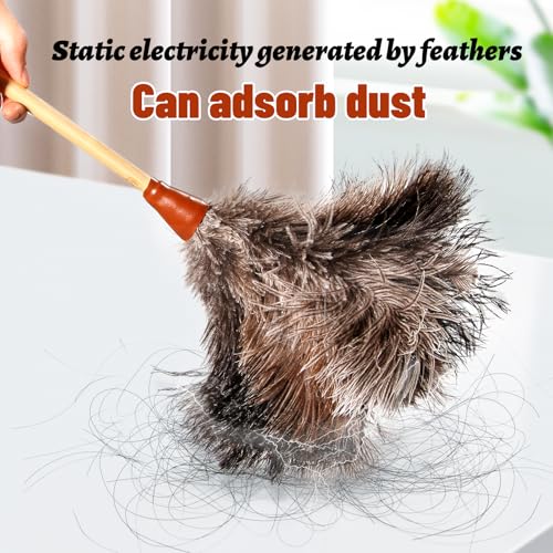 16inch Natural Good Ostrich Feather Duster with Bamboo Handle, Electrostatic Dust Remove for Ceiling，Fans，Bookshelves, Sofa, Windows, Fit for Home, Office and Cars - color: Gray