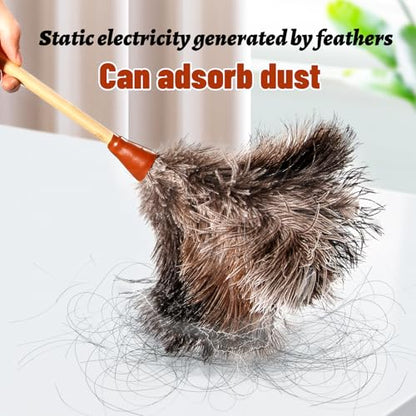 16inch Natural Good Ostrich Feather Duster with Bamboo Handle, Electrostatic Dust Remove for Ceiling，Fans，Bookshelves, Sofa, Windows, Fit for Home, Office and Cars - color: Gray