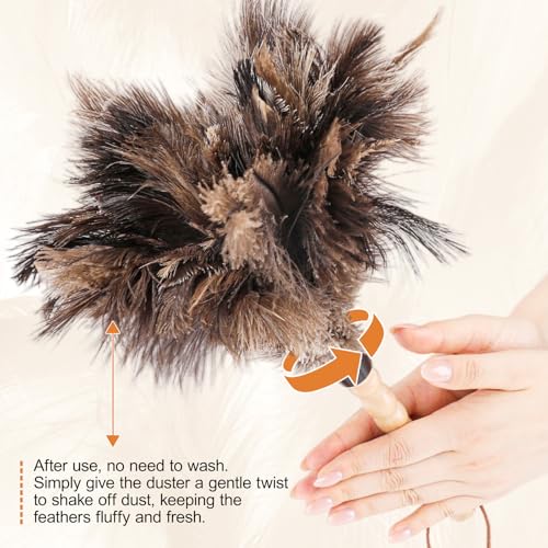 2pcs Ostrich Feather Dusters，Reusable Feather Duster with Wood Handle, Ostrich Feather Dusters for Cleaning, Office, Home, Car(Length13”