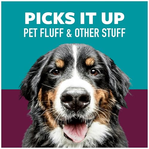 Scotch-Brite Lint Roller, Pet Hair Pickup, Extra Sticky, Large | For Fur and Fluff | For Couches and Clothes | Easy-Tear Adhesive | 60 Sheets, Pack of 4 - size: 1 Roller (Pack of 4)