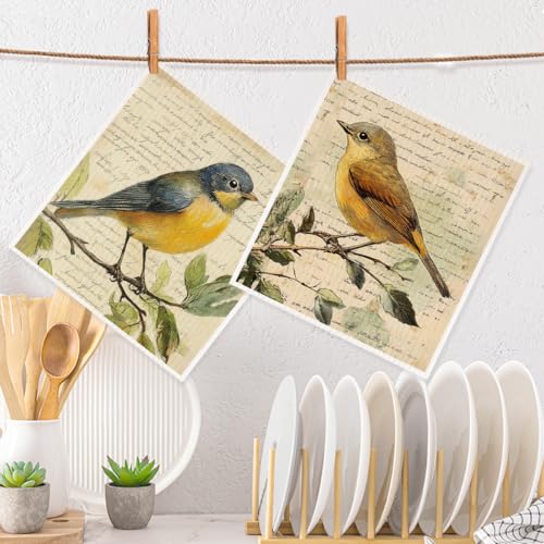 2 Pcs Vintage Bird Artistic Prints Swedish Dishcloths for Kitchen, Absorbent Reusable Paper Towels, Retro Flower Geometry Kitchen Towels for Bathroom Home, Gifts for Bird Lovers Women Mom 2 - color: Sz 0777