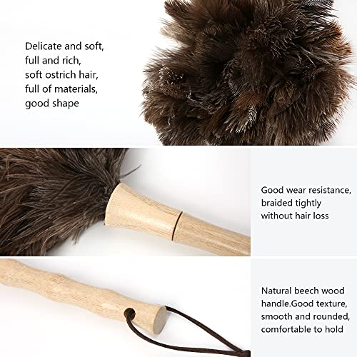 Ostrich Feather Duster 16 inch Fluffy Natural Genuine Ostrich Feathers with Wooden Handle and Eco-Friendly Reusable Handheld Ostrich Feather Duster for Cleaning Supplies(5PCS) - color: Model-a-brown-5 Pieces