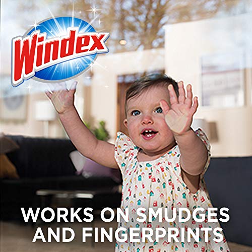 Windex Wipes Glass Cleaning, Pre-Moistened Glass and Surface Wipes to Clean Home Surfaces, Household Essentials, Original Scent, 38 Count (Pack of 12) - size: 38 Count (Pack of 12)
