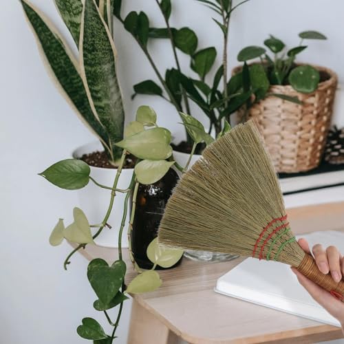 Ciieeo Small Straw Whisk Broom Handheld Brush with Short Handle, Large Wicker Desktop Sweeper for Household Dust and Debris Cleaning, Multipurpose Indoor and Outdoor Use