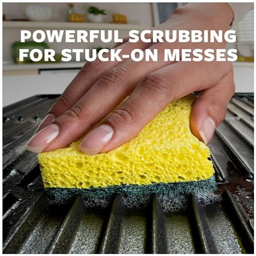 Scotch-Brite Heavy Duty Scrub Sponges, for Washing Dishes and Cleaning Kitchen, 12 Scrub Sponges (Pack of 2) - size: 12 Scrub Sponges (Pack of 2)