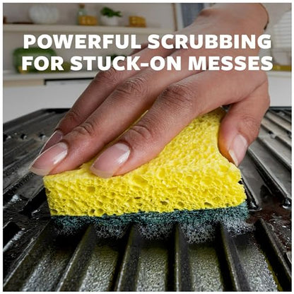 Scotch-Brite Heavy Duty Scrub Sponges, for Washing Dishes and Cleaning Kitchen, 12 Scrub Sponges (Pack of 2) - size: 12 Scrub Sponges (Pack of 2)