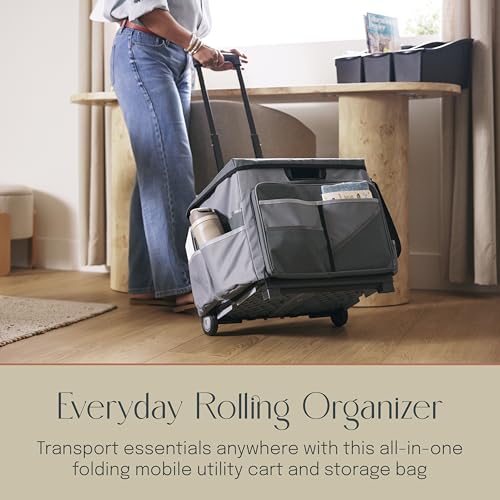 Mobile Folding Utility Cart with Canvas Storage Organizer Bag, Rolling Cart, Dark Grey/Grey - color: Dark Grey/Grey