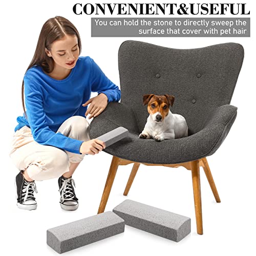 Loopeer 2 Pcs Pet Hair Remover Pumice Stone for Dog Cat Hair Removal Cleaning Pet Fur Stone 6 Inch Dog Fur Cleaning Tool for Car Interior Bedding Carpet Couch Furniture(6 x 2 x 1.6 in) - size: 1 Count (Pack of 1)