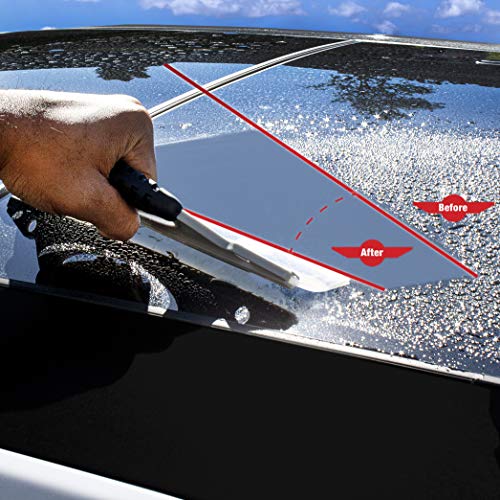 Detailer's Preference Silicone Water Blade Windshield Squeegee for Cars, Streak-Free Drying Tool for Glass, Paint, and Chrome, Flexible Edge for Auto Detailing Professionals, 12.25-Inch (Pack of 2) - size: Standard (Pack of 2)