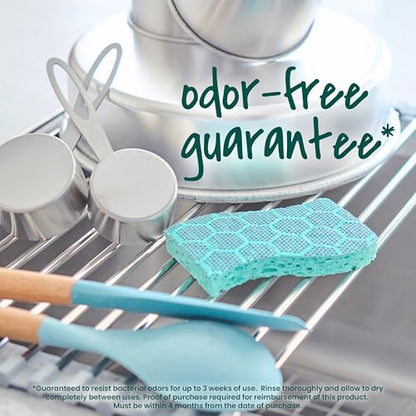 Scotch-Brite Odor Resist Heavy Duty Scrub Sponge, Dishwasher-Safe Kitchen sponges for Serious Scrubbing, Multipurpose Dish Sponge for Stuck-On Messes, 3 Scrubbing Sponges (Pack of 8) - size: 3 Scrub Sponges (8-Pack)