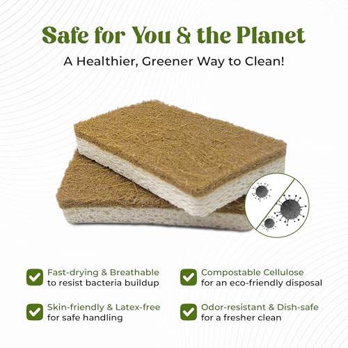 12 Pack Natural Kitchen Sponges - Biodegradable, Compostable, Sustainable Wood Cellulose & Coconut Fiber Sponge for Dishes, Quick Drying & Non Scratch Plant Based Eco Friendly Scrubber for Dishwashing