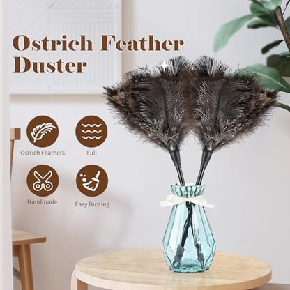 Natural Ostrich Feather Duster 14.9 inch Fluffy Mini Dusters with Plastic Handheld for Cleaning Car Keyboard Office 6 PCS - color: Natural-a-6pcs