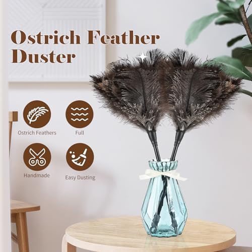 Natural Ostrich Feather Duster 14.9 inch Fluffy Mini Dusters with Plastic Handheld for Cleaning Car Keyboard Office 2 PCS - color: Natural-a-2pcs