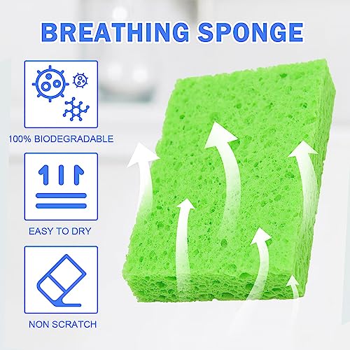 YoleShy 48 Pack Sponges Kitchen Natural Compressed Cellulose Sponges Durable Dish Sponge for Cleaning & DIY Reusable