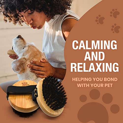 The Buddy System Pet Close Brush, Soft Touch Oval Palm Brush - Bamboo Massage Handheld with Soft Boar Bristles and Elastic Band for Dogs and Cats - color: Boar Bristle