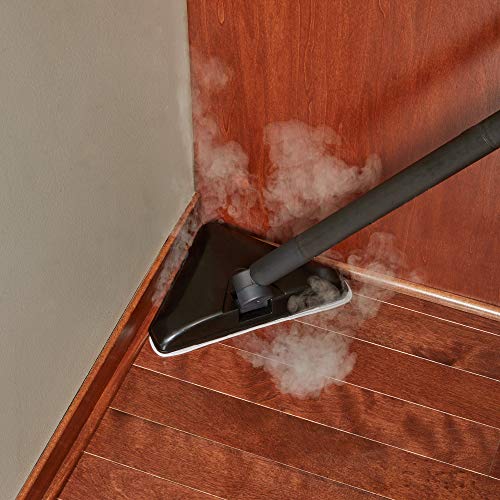 Wagner Spraytech C900158.M SteamMachine Triangle Head Steam Mop for Corners and Floors