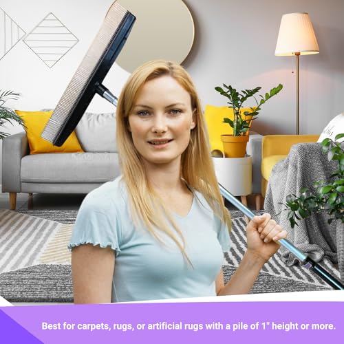 Room Groom PET Carpet Rake Groomer with Telescoping 54 " Adjustable Handle, with Lint Remover Brush Tool, Carpet Brush for Pet Hair and Refreshing Carpets, (Black/Purple) - style: PET + Lint Tool