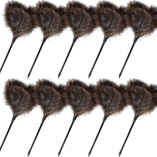 Ostrich Feather Duster-14.9 Inch Mini Natural Feathers Dusters with Plastic Handle Reusable Handheld for Cleaning Supplies Home Car Office(10pcs) - color: Natural-14.9in-styleb-10pcs