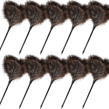 Ostrich Feather Duster-14.9 Inch Mini Natural Feathers Dusters with Plastic Handle Reusable Handheld for Cleaning Supplies Home Car Office(10pcs) - color: Natural-14.9in-styleb-10pcs