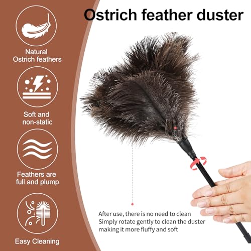 Ostrich Feather Duster-14.9 Inch Mini Natural Feathers Dusters with Plastic Handle Reusable Handheld for Cleaning Supplies Home Car Office(4pcs) - color: Natural-14.9in-styleb-4pcs