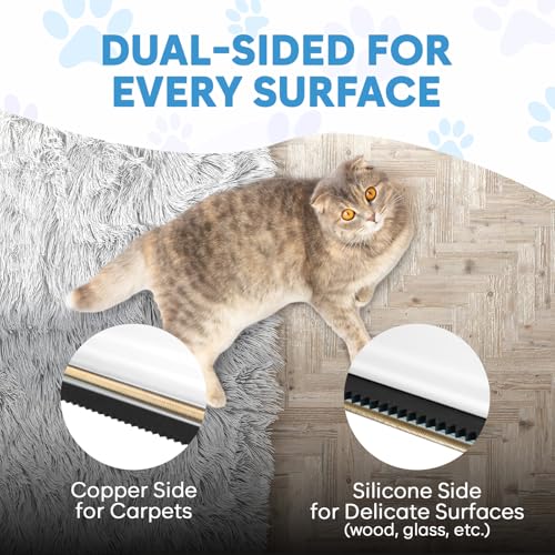 Carpet Rake for Pet Hair Removal – Carpet Scraper & Pet Fur Rake – Dog & Cat - Animal Fur Broom for Rugs & Furniture with Adjustable Lengths - Blue