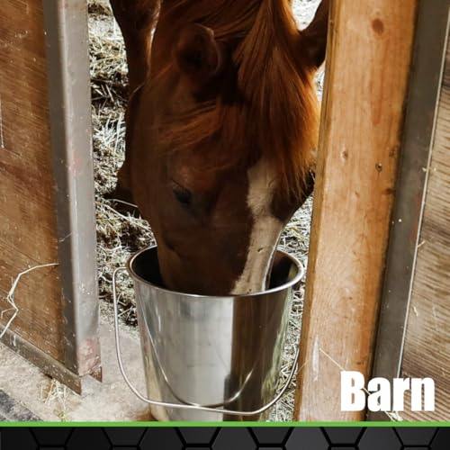 Grip Stainless Steel Bucket (5 Gallon)- Great for Pets, Cleaning, Food Prep - Hang on Fences, Cages, Kennels - Home, Garage, Workshop