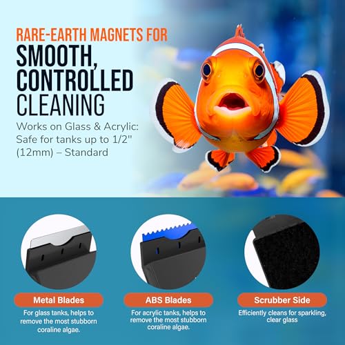 FLIPPER EDGE Standard Limited Edition Clownfish Magnetic 2-in-1 Aquarium Cleaner for Glass and Acrylic Tanks up to 1/2" (12mm) Thick – Dual Blade Design with Floating Algae Scraper and Cleaning Tool - color: LTD Clownfish, style: Standard - For Tanks 3/8