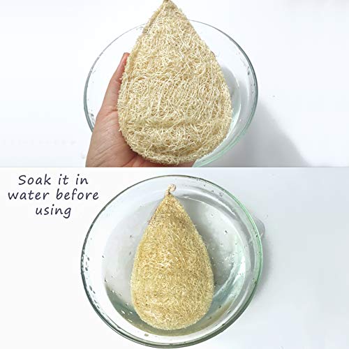 Natural Loofah Dish Sponge Pack 3 Vegetable Scrubber for Kitchen -100% Biodegradable Compostable Dishwashing Scouring Pad Zero Waste Plastic Free Eco Friendly Sustainable - size: Pack 3