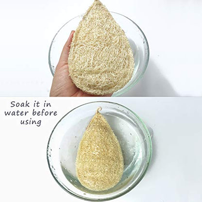 Natural Loofah Dish Sponge Pack 3 Vegetable Scrubber for Kitchen -100% Biodegradable Compostable Dishwashing Scouring Pad Zero Waste Plastic Free Eco Friendly Sustainable - size: Pack 3
