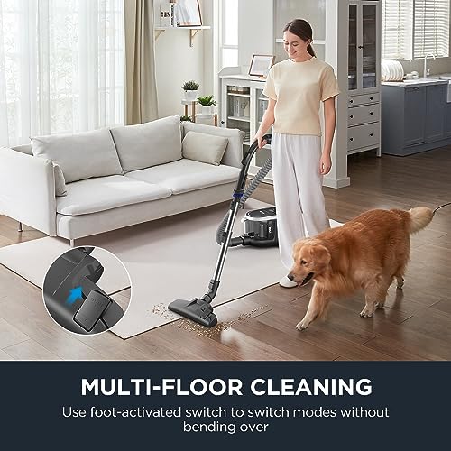 Eureka Bagless Canister Vacuum Cleaner, Lightweight Vac for Carpets and Hard Floors, Silver with Black, NEN180 - color: Silver With Black