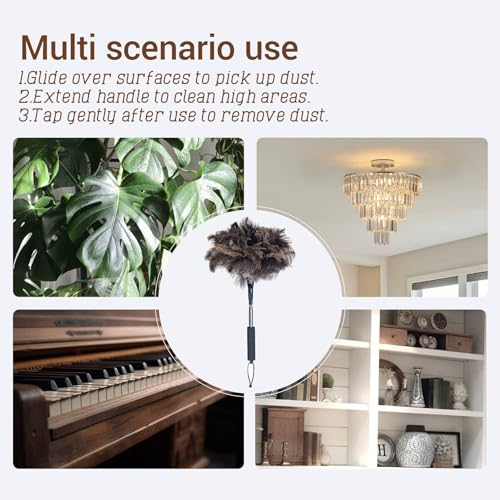 Ostrich Feather Duster for Electronics, Keyboard – Soft Dusting Tool for Screen, Fragile Items, Office, Home Cleaning (A12- Black Handle) - color: Black-a1