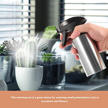 Vaguelly Stainless Steel Watering Spray Bottle Can for Easy Plant Care Capacity for Flowers and Vegetables for Boys and Girls and Plant - size: 8.5 Ounces